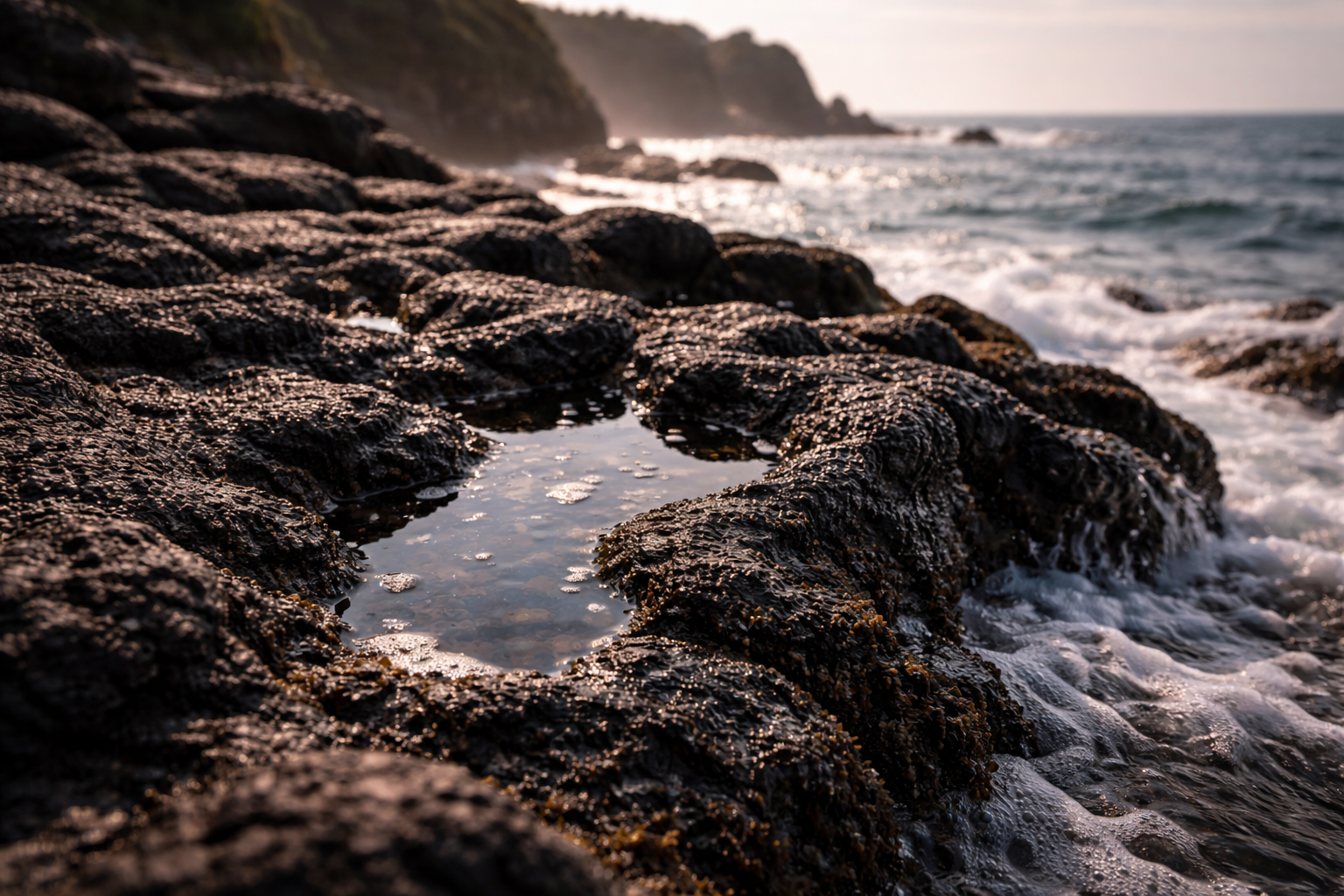 Close-up of Jeju volcanic rock with sea foam and tide pools.