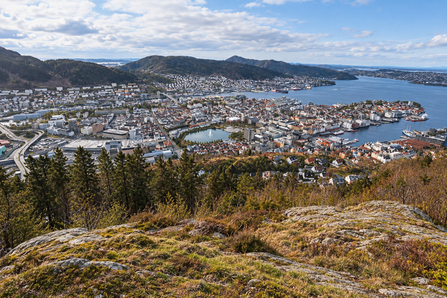 View over Bergen and its harbour from the Fløyen viewpoint